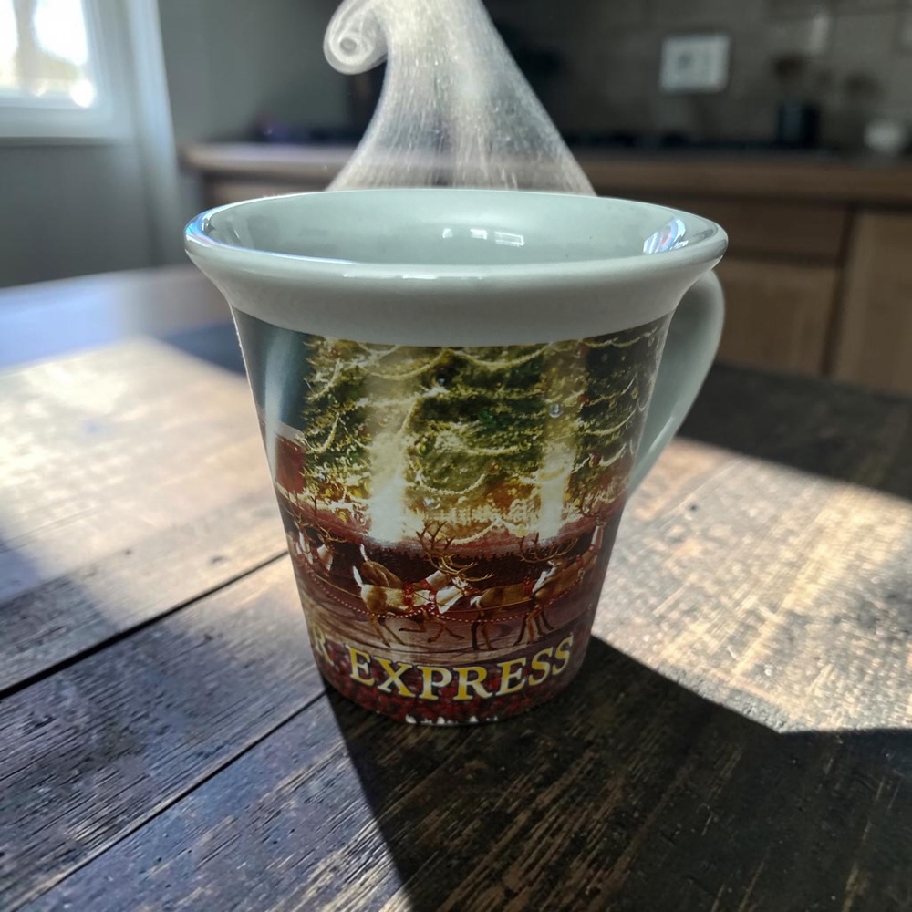 Warner Bros The Polar Express Christmas Coffee Mug Santa Sleigh 2009 4.5 inch